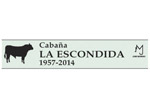 laescondida